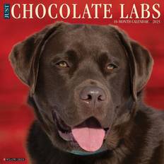 Office Supplies Willow Creek Press 2025 Just Chocolate Labs Wall Calendar 12" x 12" Monthly (42359)