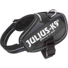 Julius-K9 Julius-K9 K9 IDC Power Harness Grau M-0