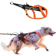 Non-Stop Dogwear Freemotion Harness 5.0 Orange/Black (5)