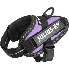 Julius-K9 K9 IDC Harness Size 0 Purple