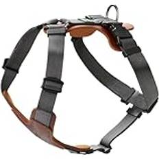 Hunter Dog Harness Mixed Aalborg Cognac S Chest 46-67 cm