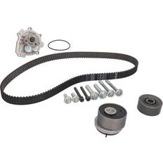 INA Water Pump & Timing Belt Set 530072430