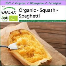 Semillas de Verdura Saflax Orgánico Calabaza Espagueti 5 Semillas