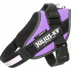 Julius-K9 Pets Julius-K9 16IDC-PR-3 IDC Powerharness Size 3 Purple