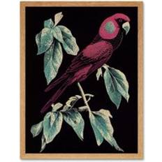 Red Framed Art Wee Blue Coo Parakeet Retro Modern Vintage Tropical Jungle Wall Print 43 cm H x 33 cm W Framed Art