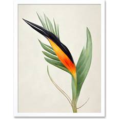 ARTERY8 Tropical Bird Of Paradise Flower Wall Print 43 cm H x 33 cm W x 2 cm D Framed Art