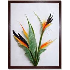 Brown Framed Art Wee Blue Coo Bird Of Paradise Flowers Tropical Plant Wall Print 43 cm H x 33 cm W Framed Art