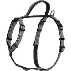 The Company of Animals Halti Walking Harness Reflective Dog Puppy All Colors & Sizes