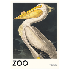 Citatplakat Brugskunst Citatplakat White Pelican 30x40 cm Plakat