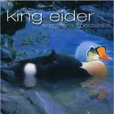 Music King Eider Somateria Spectabilis (CD)