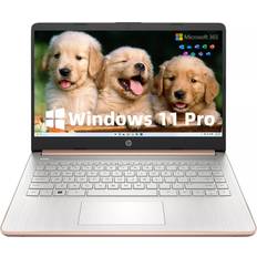 Laptops HP Stream 14-inch Business Laptop N4120 8GB RAM 256GB Storage 128GB eMMC + 128GB Micro SD Card