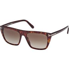 Tom Ford Aslan Sunglasses Brown