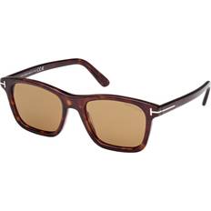 Tom Ford Barron Sunglasses Brown