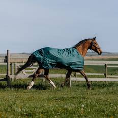 Green Horse Rugs EquiThème Tyrex 600D Outdoor Decke grün 6'0