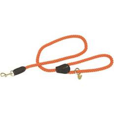 B&Q Twisted Dog Lead Orange (One Size)