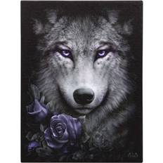 Toile Décorations Murales Spiral Direct Canvas Wolf Roses Plaque Multicoloured (One Size) Wall Decor