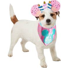 Pets Rubies Mickey Mouse Birthday Pet Accessory Small & Medium