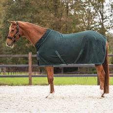 Green Horse Rugs QHP Showdecke Avélie