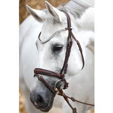 Bridas y Accesorios Kavalkade Everness Bridle, Brown