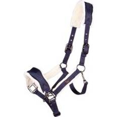 Equitazione QHP Cavezza per cavalli Classy Bleu