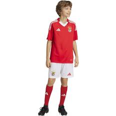 Football Kits on sale Adidas Benfica 24/25 Junior Home Shorts