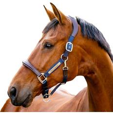 Horseware Halters & Lead Ropes Horseware Signature Competition Headcollar -