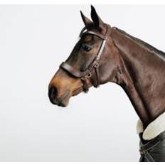 Horse And Pony Bitless Bridle Brown