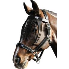 Suède Hoofdstellen en Accessoires Anti-vlieg frontriem voor paarden Harry's Horse Noir