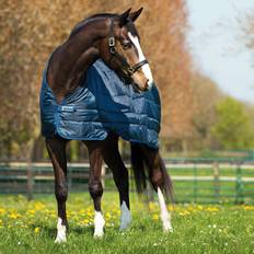 Horseware Liner Unterdecke 200g Navy 160