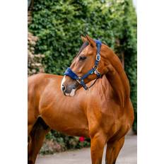 Horseware Beskyttelse & Pleje Horseware Signature Pleje Hovedtøj