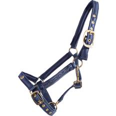 Cob Horse Halters QHP Halter for foal Lily Bleu