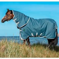 Amigo AmEco 12 Plus Turnout Rug - Teal/Grey