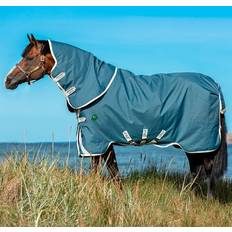 Turquoise Horse Rugs Amigo Bravo Plus Turnout (100g Lite)