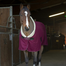 130cm Horse Rugs EquiThème Teddy Abschwitzdecke marineblau 6'9