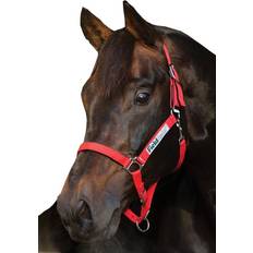 Horseware Grimer Horseware Signature Field Safe Grime - NEW