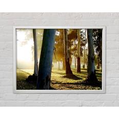 Union Rustic Morning Sunbeam Trees White Bild 141.4x100cm