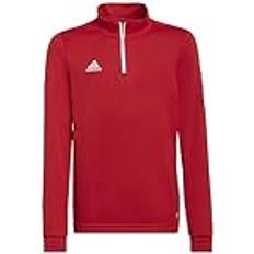 Trainingsbekleidung Sweatshirts ADIDAS Kinder Sweatshirt Entrada Training Rot 176