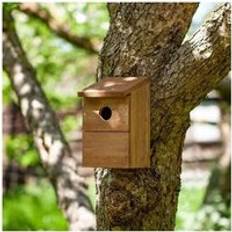 Wood Garden Decorations Garden Mile Classic Wood Bird Box Nest Box