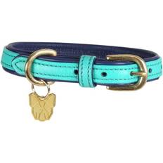 Shires Digby and Fox Padded Leather Dog Collar XL (58 - 64 cm)