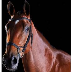 (Black, Full) Comfitec Training Bridle