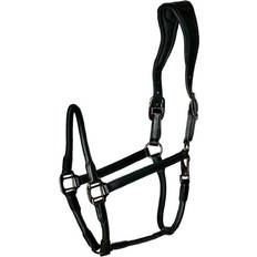 Catago Licols pour chevaux Catago Licol pour cheval en cuir Noir