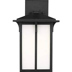 Lighting Generation Lighting Tomek 1-Light 14-in H Black LED Outdoor 9.3 Watt 14"H x 8"W Wall Light