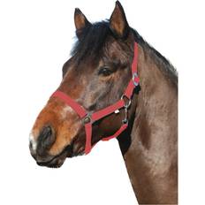 ELDORADO Nylon Horse Halter HorseGuard - Noir