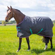 Black Horse Rugs Shires Tempest Original 300g Standard Turnout Rug 6'0