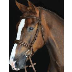 (Brown, Cob) Mono Crown Padded Raised Cavesson Bridle