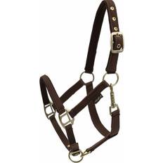 Beige Halsters & Lijnen Gewatteerd nylon halster voor paarden HorseGuard Marron