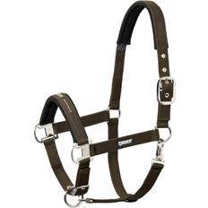 Eskadron Horse Halter - Marron