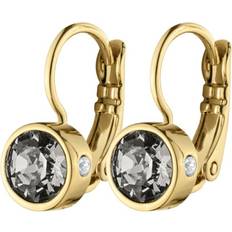 Dyrberg/Kern Swarovski-kristall Örhängen Dyrberg/Kern Madu Sg Grey Örhängen Guld