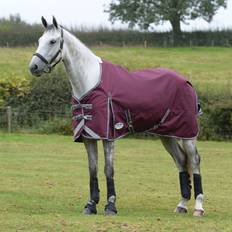 Winter Rugs Horse Rugs Weatherbeeta Comfitec Plus Dynamic Ii 220g Standard Neck Turnout Rug 4'0