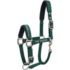 Halter for Horse Timmy - Vert